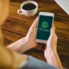 Sudah Coba? Cara Menghapus Kontak WhatsApp dengan Aman dan Cepat