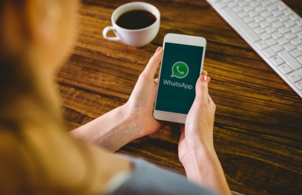 Sudah Coba? Cara Menghapus Kontak WhatsApp dengan Aman dan Cepat