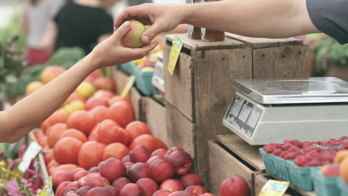 Sering Terpapar Polusi? Tangkis Dampak Buruknya dengan 5 Makanan Ini