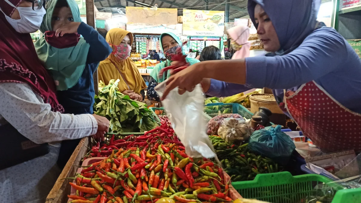 Harga Tomat di Kabupaten Pekalongan Tembus Rp 20 Ribu, dari Rp 8 Ribu/Kilogram