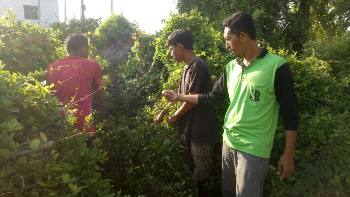 Ternyata Sudah 2 Bayi Dibuang di Lokasi yang Sama