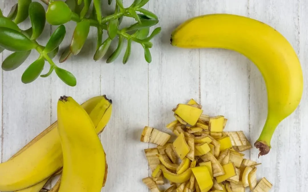 Jangan Buang Kulit Pisang! Bisa Dimanfaatkan Bikin Tanaman Cepat Panen