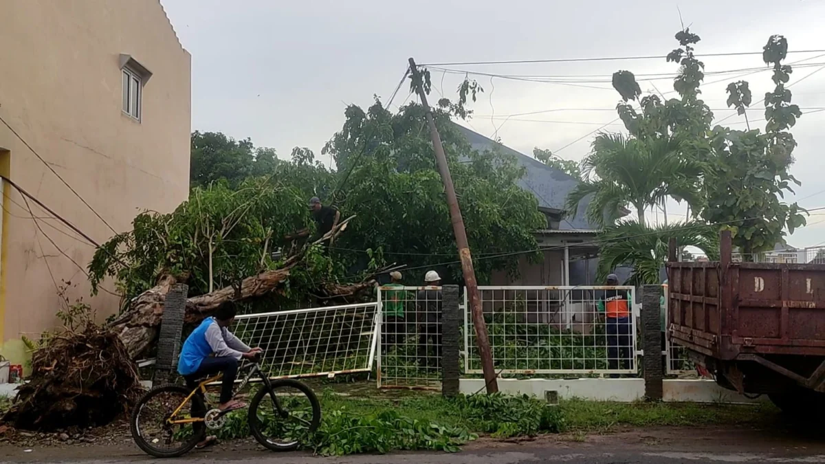 Intensitas Curah Hujan Meningkat, Waspadai Bencana Hidrometeorologi