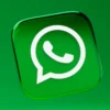 Cara Terlihat Offlline Padahal Online di WhatsApp