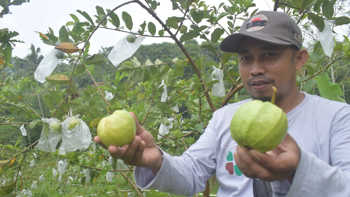 Creative Farm Jadi Sarana Edukasi Petani dan Masyarakat