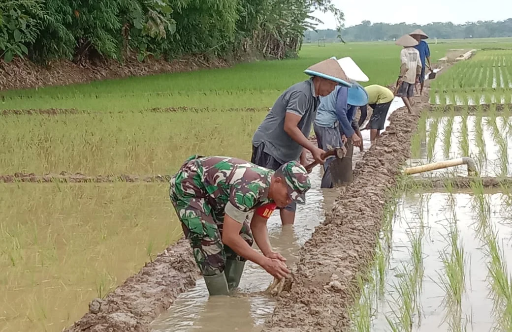 Babinsa Koramil Kesesi Bersama Petani Kerja Bakti Perbaiki Saluran Irigasi