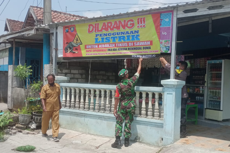 Jebak Tikus Pakai Listrik Resmi Dilarang