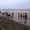 Hanya di Akhir Tahun, Warga Berburu Kerang Putih di Pantai Sendang Sikucing Kendal