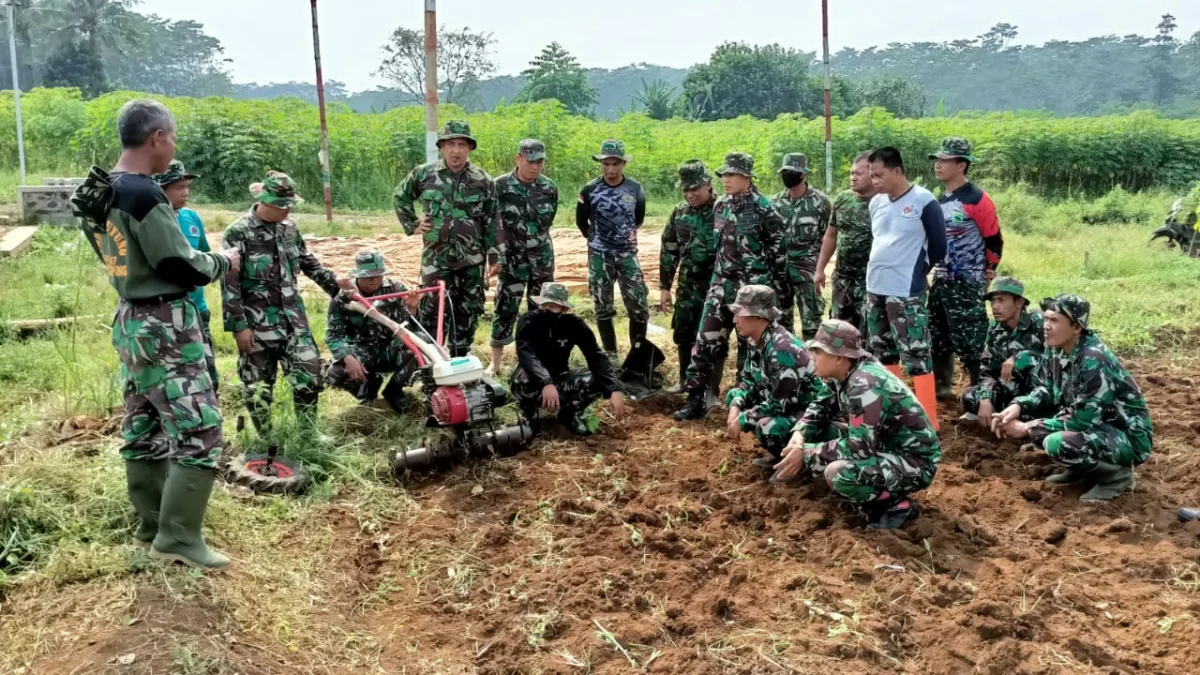 Demi Wujudkan Ketahanan Pangan, Prajurit Kodim Batang Rela Berlatih Olah Tanah