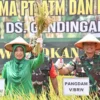 Pangdam V/Brawijaya Panen Raya Padi Japonica di Ngawi
