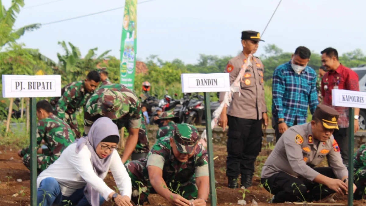 Tenang, Stok Beras Hingga Minyak Goreng di Batang Aman Sampai Maret 2023