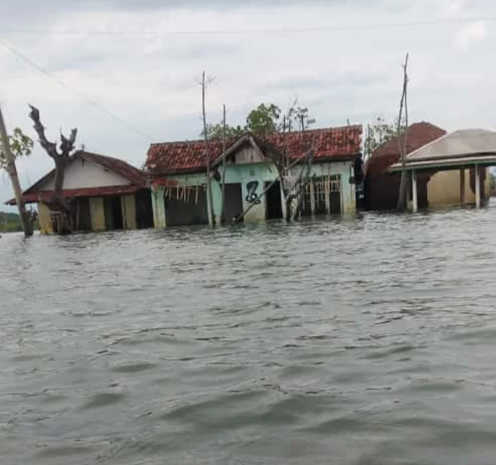 Penelitian BRIN, Penurunan Permukaan Tanah di Pantura Jateng Relatif Tinggi