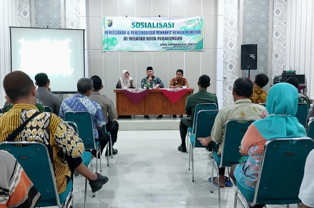 Dinperpa Kota Pekalongan menemukan sudah ada 6 sapi di Kota Pekalongan yang terindikasi positif terkena penyakit LSD.