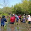 Lumbung Padi Di Pesisir Pekalongan Kian Sirna