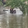 Potensi Kerugian Banjir Rob Pekalongan Gede Banget, Rp 17,64 Triliun di Tahun 2025