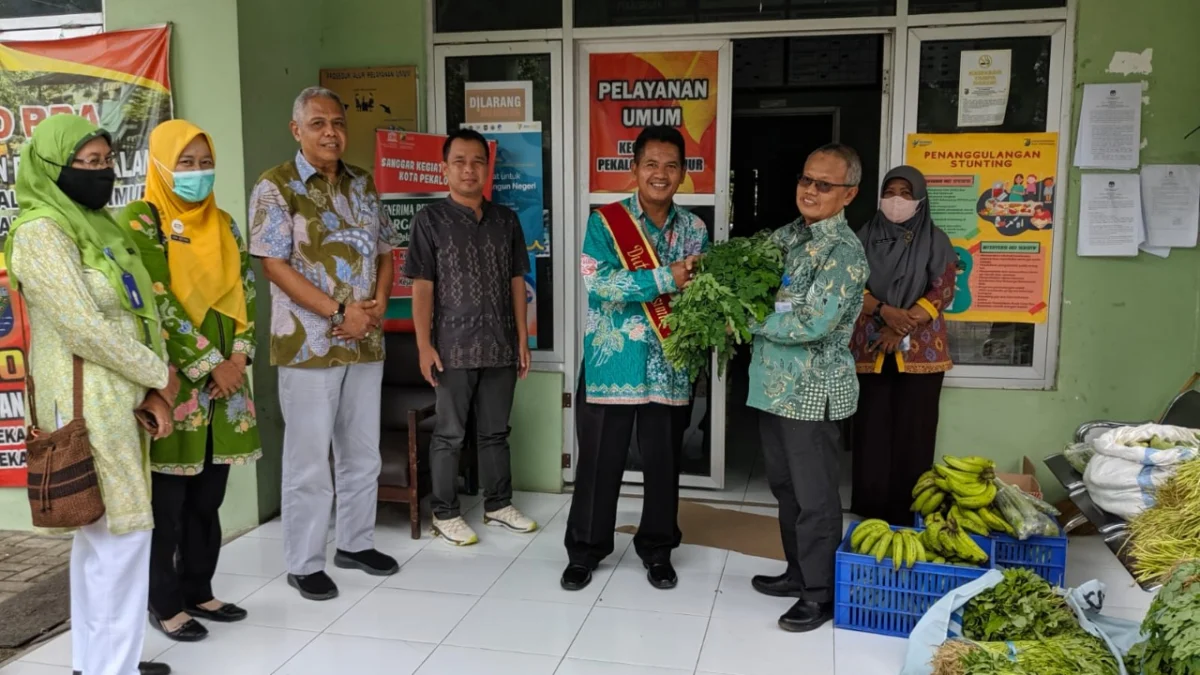 Karena Konsumsi Sayur Masyarakat Pekalongan Tergolong Rendah, Dinperpa Lakukan Intervensi