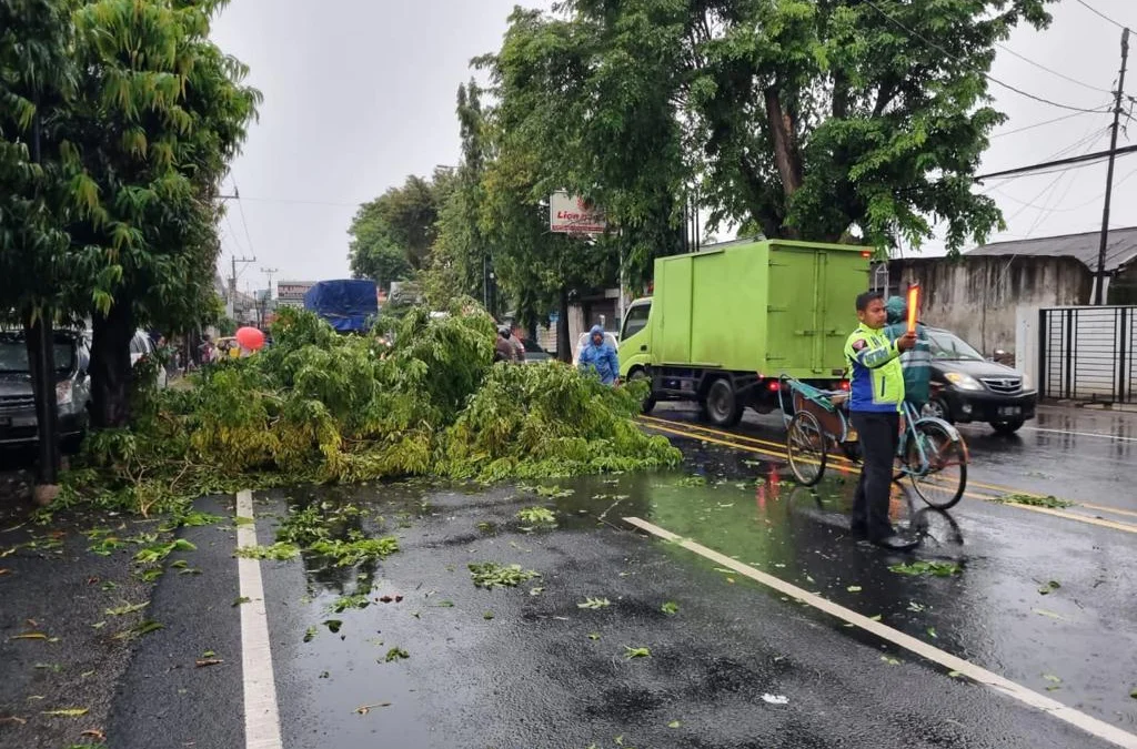 23 Pohon Tumbang dan 8 Rumah Alami Kerusakan Akibat Cuaca Ekstrim