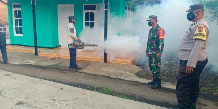 5 Langkah Mudah Cegah Demam Berdarah di Rumah