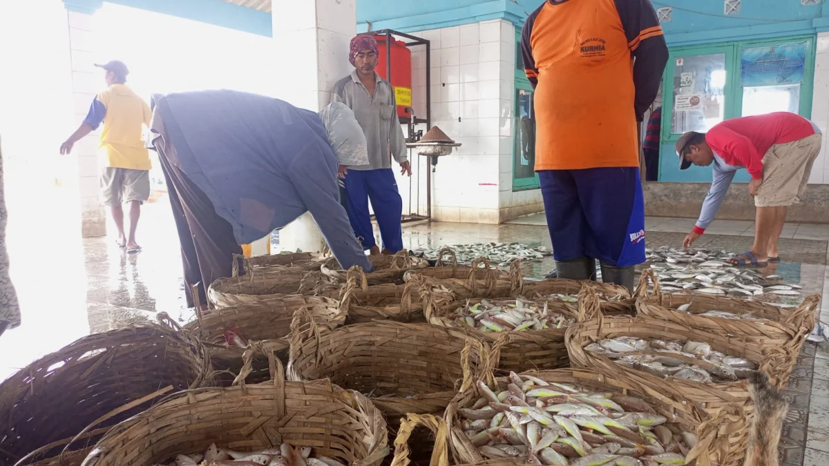 Mau Bakar-bakar Ikan di Malam Tahun Baru 2023, Harga Ikan Naik Ya, Cek di Sini