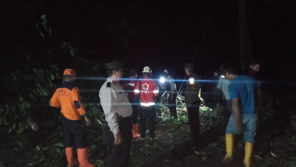 Malam Hari, Petugas Gabungan Bersihkan Pohon Tumbang di Hutan