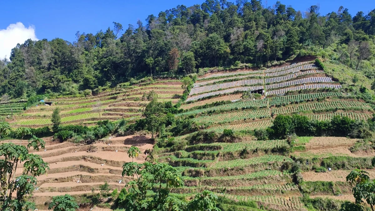 Aktivitas Vulkanik Dieng Meningkat, Masyarakat Diminta Waspada