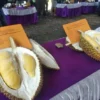 Durian Lokal Kecamatan Karanganyar, Bentuk Lebih Kecil, Citarasa Tinggi