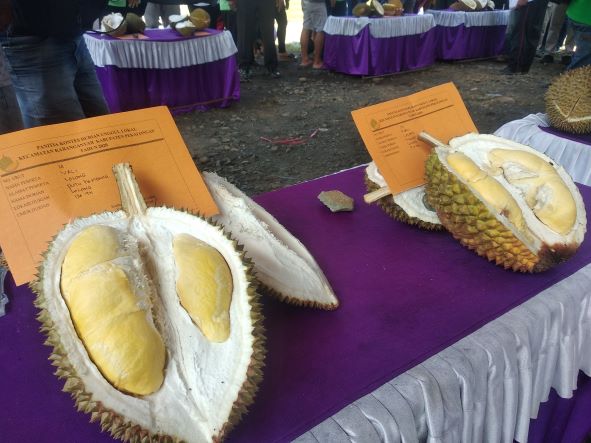 Durian Lokal Kecamatan Karanganyar, Bentuk Lebih Kecil, Citarasa Tinggi