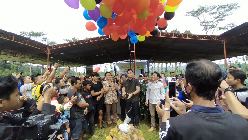 Hampir Setiap KK Punya Pohon Durian, Desa Kebongembong Gelar Festival Durian