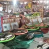 Banyak Nelayan Tak Melaut, Stok Ikan Tambak Penuhi Pasar