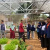 Mahasiswa KKN-T Unikal ikut Kelola Greenhouse Keki Botanic Desa KetitangKidul