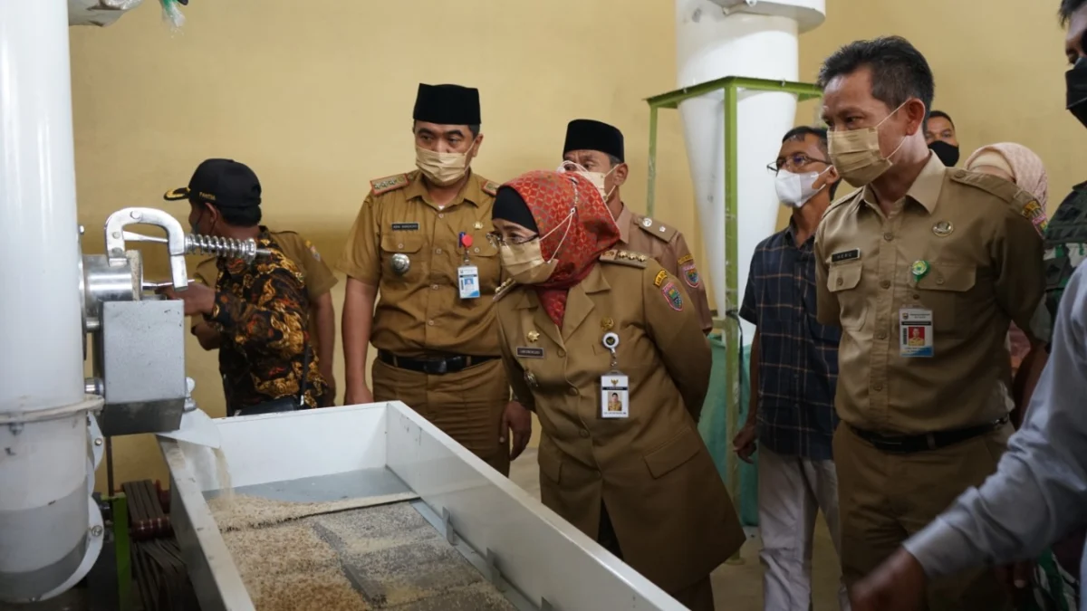 Antisipasi Resesi dan Krisis Pangan, Pemkab Batang Siapkan 3 Lumbung Pangan