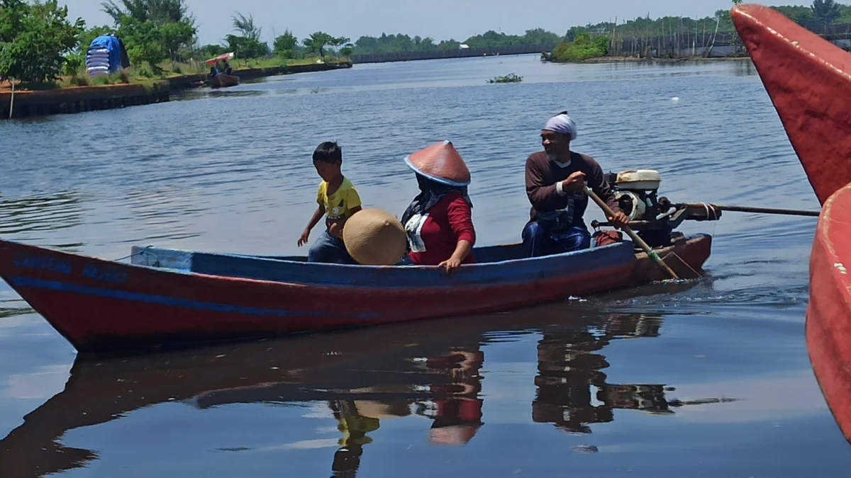 Atasi Banjir dan Rob, Desa Jeruksari Sediakan 5 Hektar Lahan Sebagai Sarana Penunjang