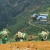 Gunung Dieng Naik Status, Warga Pranten Masih Tetap Beraktivitas Normal