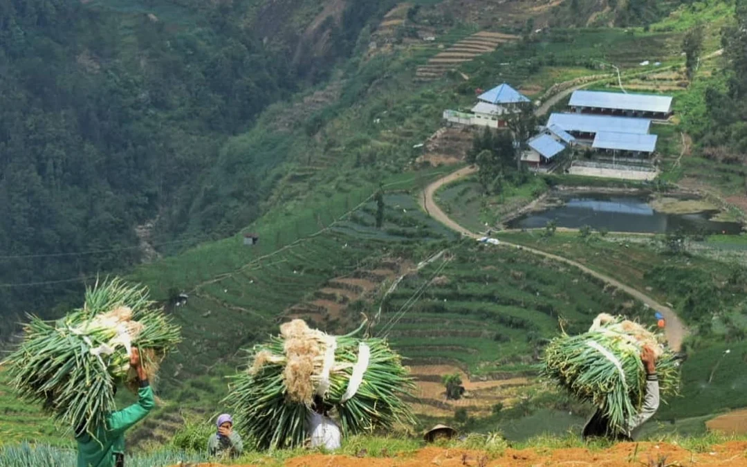 Gunung Dieng Naik Status, Warga Pranten Masih Tetap Beraktivitas Normal