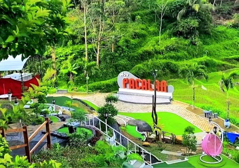 Di Mana Lokasi Wisata Wow Pacalan? Inilah Rutenya