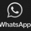Berikut Cara Mematikan Penyimpanan Enkripsi End-to-End dan Cara Mengunci WhatsApp