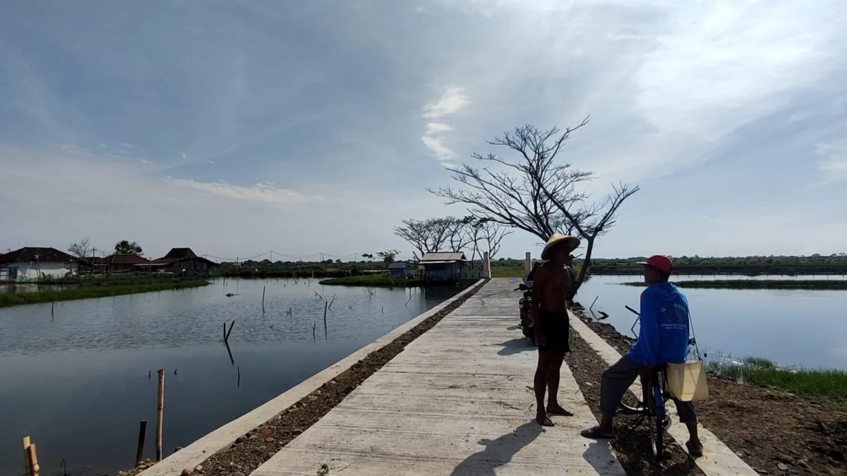 Areal Tambak Ikan Diterjang Banjir Bandang, Petani Rugi Rp 8,4 Miliar