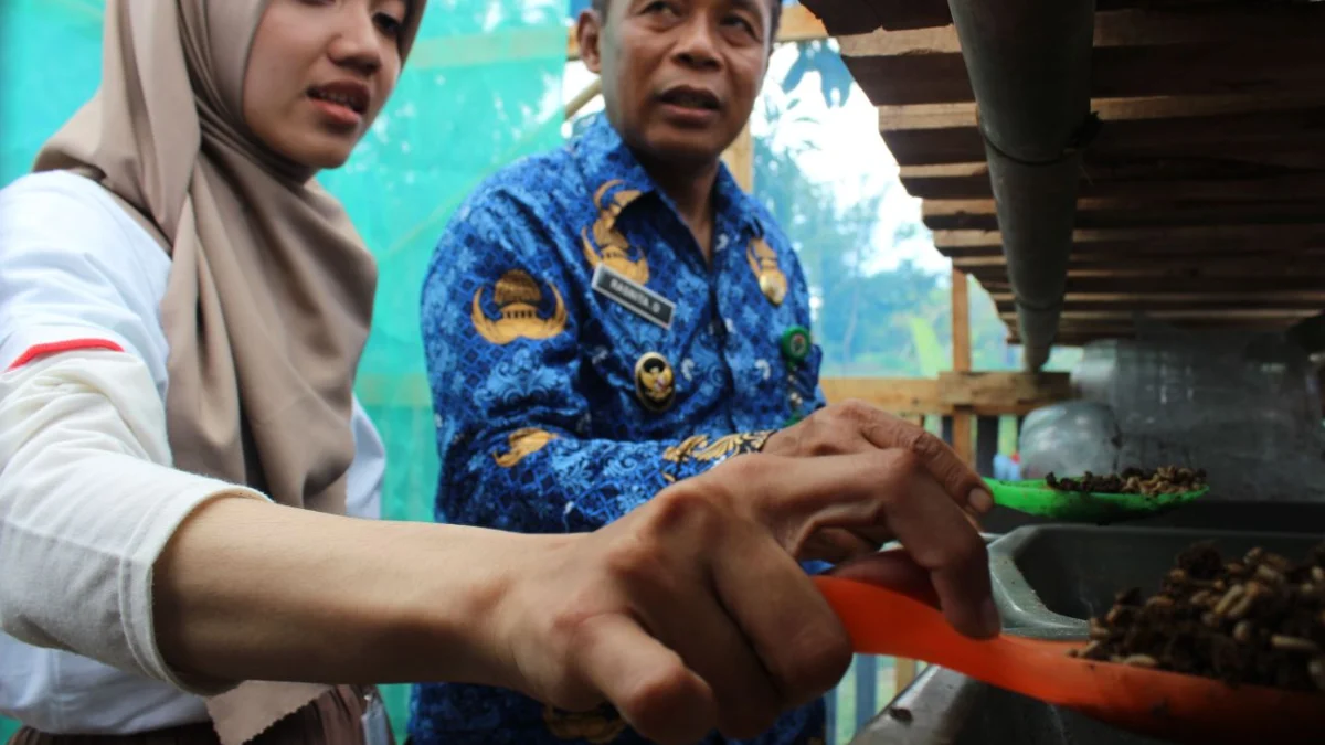 Ubah Sampah Jadi Pupuk dan Pakan Ternak melalui Proyek Budidaya Maggot Kebonmanggu (BMK)