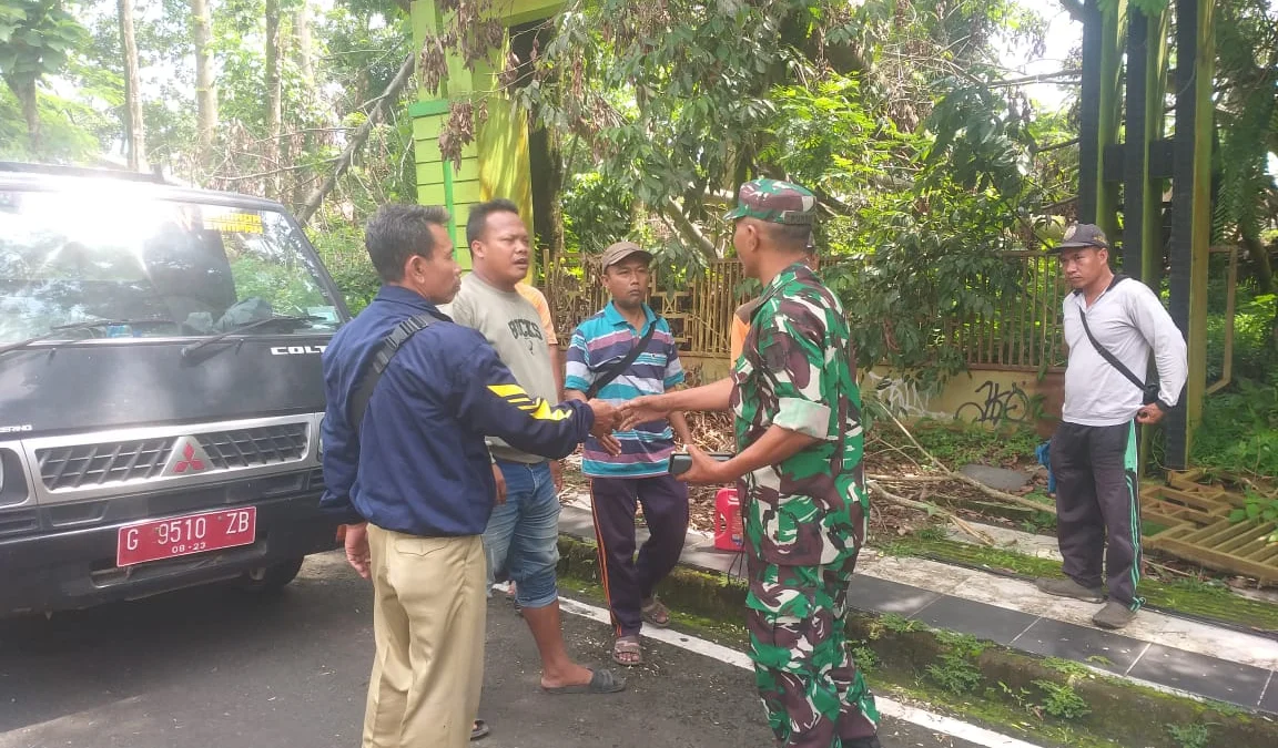 Cuaca Masih Esktrem, Pabung Kodim 0710 Pekalongan Temukan Masih Banyak Pohon Rawan Tumbang di Lingkungan Pemkab Pekalongan