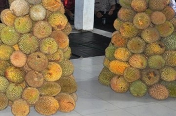 Durian boyo dan lolong pekalongan digemari warga