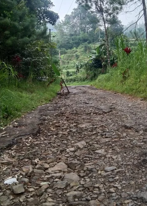 Kondisi jalan ke Desa Songgodadi di ruas Yosorejo-Curugmuncar rusak. (Hadi Waluyo)