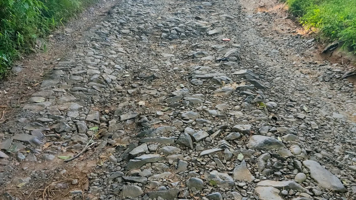 Jalan Kabupaten Tak Kunjung Diperbaiki, Pemdes Domiyang Kabupaten Pekalongan Kerahkan Puluhan Warga untuk Swadaya Perbaiki Jalan Rusak