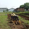 Dukung Ketahanan Pangan, Kodim Pekalongan Siapkan Lahan Kedua Di Doro