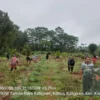 Cegah Banjir di Pekalongan, CDK Wilayah IV DLHK Jateng Rehabilitasi DAS Kupang