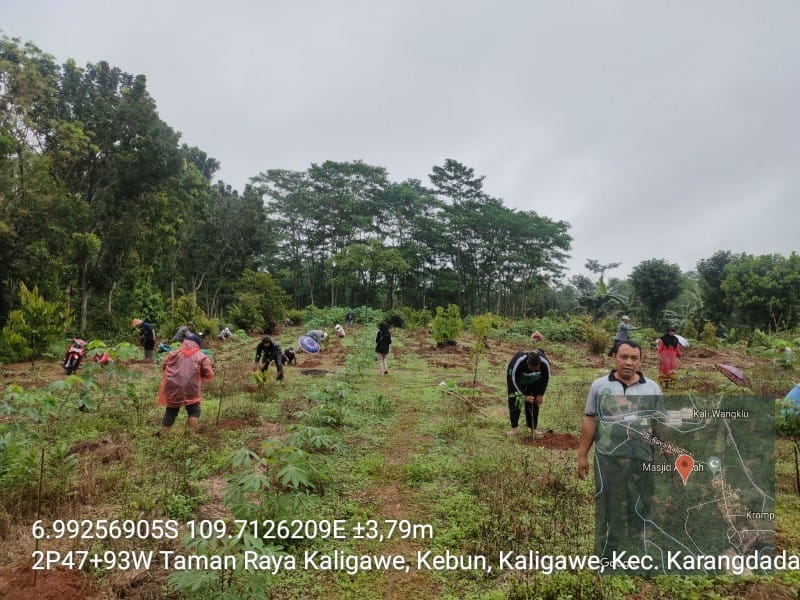 Cegah Banjir di Pekalongan, CDK Wilayah IV DLHK Jateng Rehabilitasi DAS Kupang