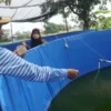 Petani Budidaya Bandeng Diedukasi dengan Bioflok dan Conical Tank, Begini Penjelasannya