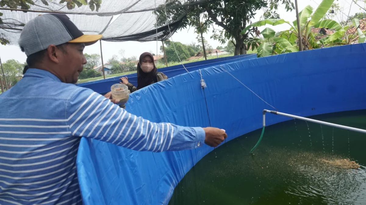 Petani Budidaya Bandeng Diedukasi dengan Bioflok dan Conical Tank, Begini Penjelasannya