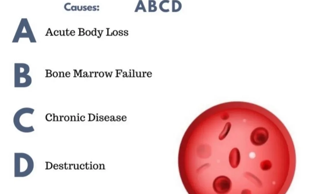 Cara mengatasi anemia