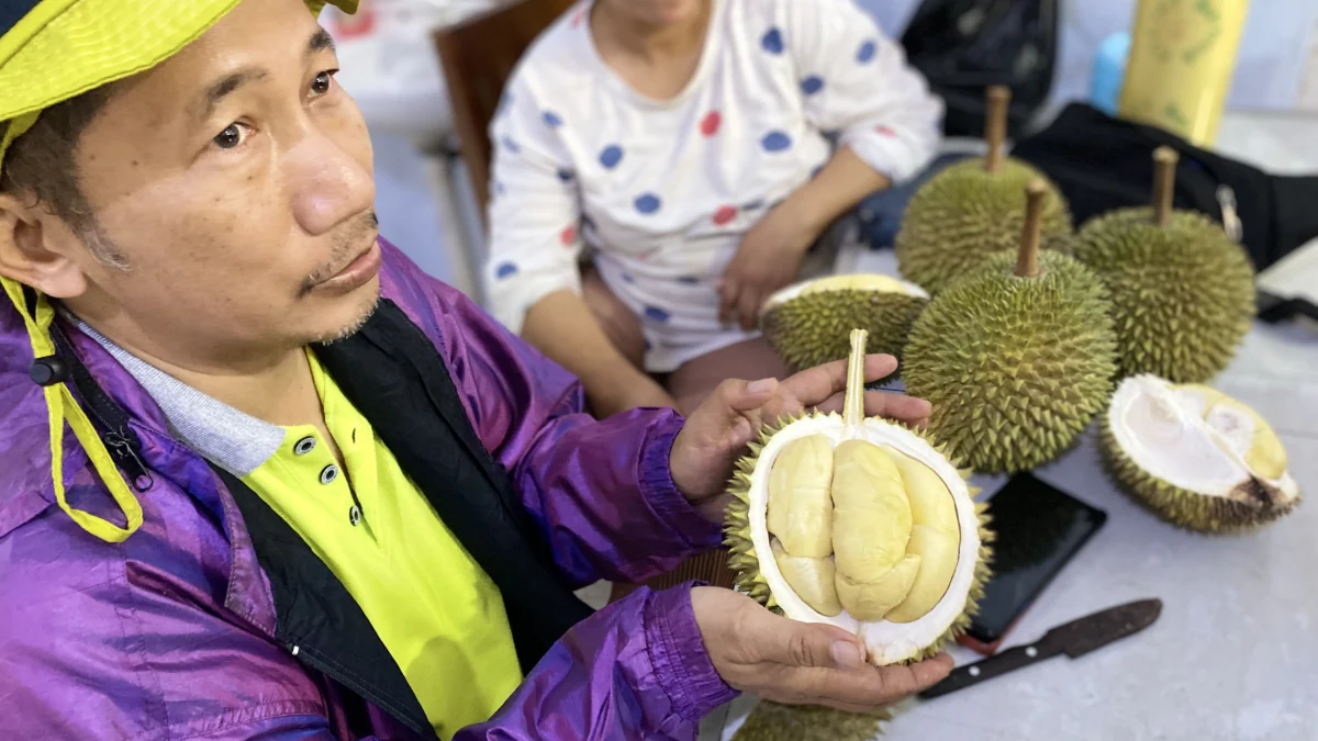 Durian milky Lokal Kabupaten Batang (Radar Pekalongan/Novia Rochmawati)