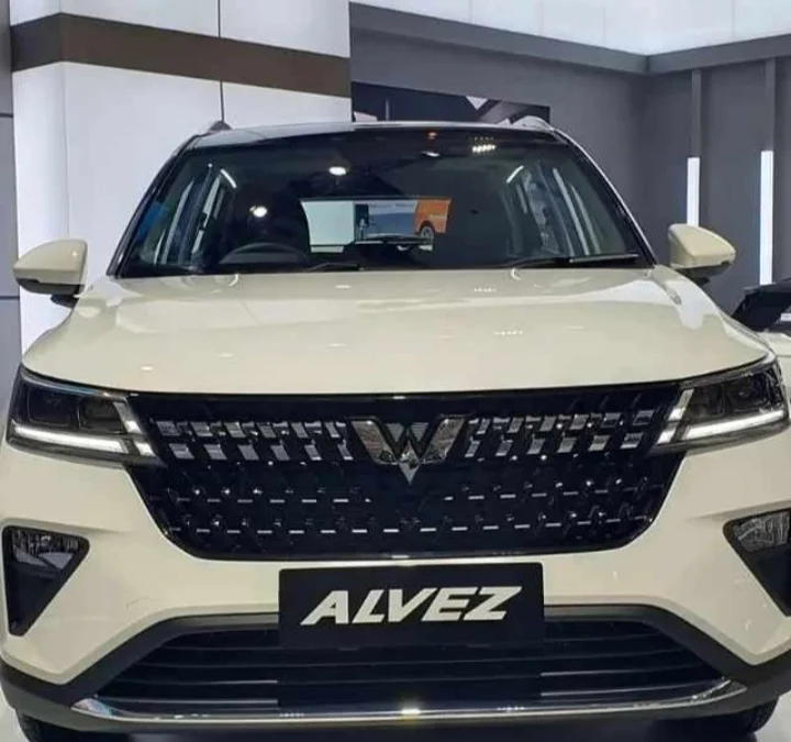 Wuling Alvez